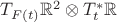$T_{F(t)}\mathbb{R}^2 \otimes T^*_t \mathbb{R}$