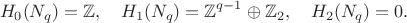 $$
H_0(N_q)=\mathbb{Z},\quad H_1(N_q)=\mathbb{Z}^{q-1}\oplus\mathbb{Z}_2,\quad H_2(N_q)=0.
$$