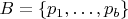 $B = \{p_1,\dots,p_b\}$