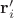 $\mathbf r'_i$