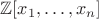 $\mathbb{Z}[x_1,\dots,x_n]$