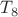 $T_{8}$