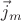 $\vec j_m$