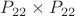 $P_{22}\times P_{22}$