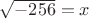 $\sqrt{-256}=x$
