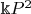 $\Bbbk P^2$