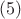 $\qquad(5)$