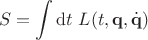 $$
S = \int \mathrm dt \ L(t, \mathbf q, \dot {\mathbf q})
$$