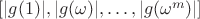 $[|g(1)|,|g(\omega)|,\ldots,|g(\omega^m)|]$