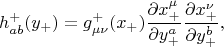 $$
h^{+}_{a b}(y_{+}) = g^{+}_{\mu \nu} (x_{+}) \frac{\partial x^{\mu}_{+}}{\partial y^{a}_{+}} 
\frac{\partial x^{\nu}_{+}}{\partial y^{b}_{+}},
$$