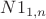 $N1_{1,n}$