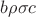 $b \rho \sigma c$