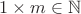 $1\times m\in\mathbb N$