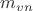 $m_{vn}$