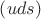 $\left ( uds \right )$