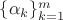 $\{\alpha_k\}_{k=1}^m$