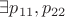 $\exists p_{11},p_{22}$