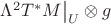 $\Lambda^2T^*M\big|_U\otimes g$