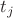 $t_{j}$