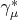 $\gamma^{*}_{\mu}$