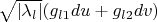 $\sqrt{|\lambda_l|}(g_{l1}du+g_{l2}dv)
$