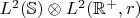 $L^2(\mathbb{S})\otimes L^2(\mathbb{R}^+,r)$