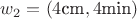 $w_2=(4\text{cm}, 4\text{min})$