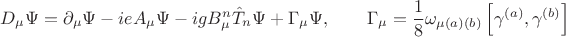 $$
D_{\mu} \Psi = \partial_{\mu} \Psi - i e A_{\mu} \Psi - i g B^{n}_{\mu} \hat{T}_{n} \Psi + \Gamma_{\mu} \Psi,
\qquad
\Gamma_{\mu} = \frac{1}{8} \omega_{\mu (a)(b)} \left[ \gamma^{(a)}, \gamma^{(b)} \right]
$$