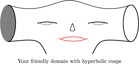 $\begin{tikzpicture}
\draw [thick] (-4,1.2)..controls (-2,.5) and (-1,1.5).. (0,1.5)..controls (1,1.5) and (2,.5)..(4,1.2);

\filldraw [gray]  (-4,0) ellipse (.5 and 1.2);

\draw [very thick] (-4,-1.2)..controls (-2,-1) ..(-1.5,-2);
\draw [very thick] (4,-1.2)..controls (2,-1) ..(1.5,-2);

\draw [very thick] (-.8,0) arc (75:105:2.5);
\draw [very thick] (2.5,0) arc (75:105:2.5);

\draw (2.3,0) arc (-60:-120:.8);
\draw (-1.1,0) arc (-60:-120:.8);
\draw [thick,red]  (1.2,-1) arc (-70:-110:2.8);
\draw [thick,red] (1,-1) arc (72:108:2.5);

\draw [thick] (.2,.0) ..controls (0,-.5)..  (0.2,-.5);
\draw [thick] (.2,.0) ..controls (.4,-.5)..  (.2,-.5);
\node at (0,-2.5) {Your friendly domain with hyperbolic cusps};
\clip (-4,-1.2) rectangle (4.6,1.2);
\draw [very thick] (-4,0) ellipse (.5 and 1.2);
%\clip (4,-1.2) rectangle (4.6,1.2);
\draw[very thick] (4,0) ellipse (.5 and 1.2);
\end{tikzpicture}$