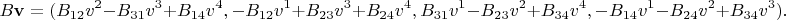 $$B\mathbf v = (B_{12} v^2 - B_{31} v^3 + B_{14} v^4, -B_{12} v^1 + B_{23} v^3 + B_{24} v^4, B_{31} v^1 - B_{23} v^2 + B_{34} v^4, -B_{14} v^1 - B_{24} v^2 + B_{34} v^3).$$