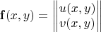 $\mathbf{f}(x,y)=\begin{Vmatrix} u(x,y) \\ v(x,y) \end{Vmatrix}$