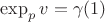 $\exp_p v = \gamma(1)$
