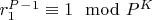 $r_1^P^-^1\equiv 1\mod P^K$