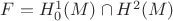 $F=H^1_0(M)\cap H^2(M)$