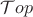 $\mathcal{T}op$
