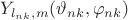 $Y_{l_{nk},m}(\vartheta_{nk},\varphi_{nk})$