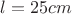 $l=25cm$