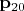 $\mathbf{p}_{20}$