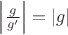 $\left|\frac{g}{g'}\right|=|g|$