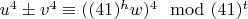 $u^4\pm v^4\equiv ((41)^hw)^4\mod (41)^t$