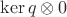 $\ker q\otimes 0$