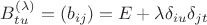 $B_{tu}^{(\lambda)}=(b_{ij})=E+\lambda \delta_{iu} \delta_{jt}$