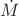 $\dot{M}$