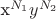 x^{N_1} y^{N_2}