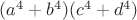 $(a^4+b^4)(c^4+d^4)$