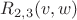 $R_{2,3}(v,w)$