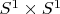 $S^{1}\times S^{1}$