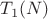 $T_1(N)$