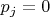 ${{p}_{j}}=0$