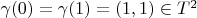 $\gamma(0)=\gamma(1)=(1,1)\in T^2$